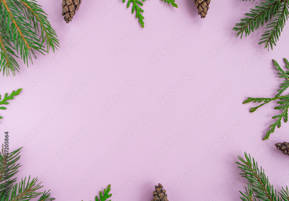 Christmas New year flat lay with xmas tree or branches, and pine cones on pink background. Greeting card, top view, copy space. 