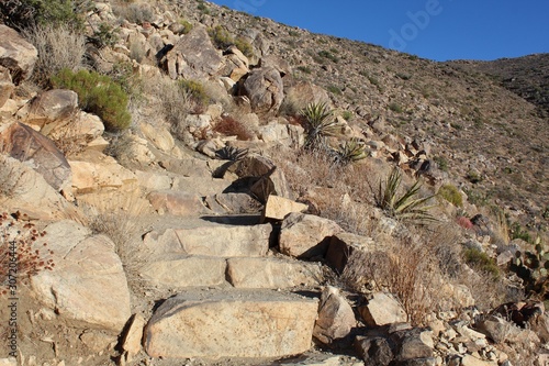 The Little San Bernardino Range contains Ryan Mountain, and, within natural wonders of the Southern Mojave Desert, Joshua Tree National Park offers a tough trek to the summit.