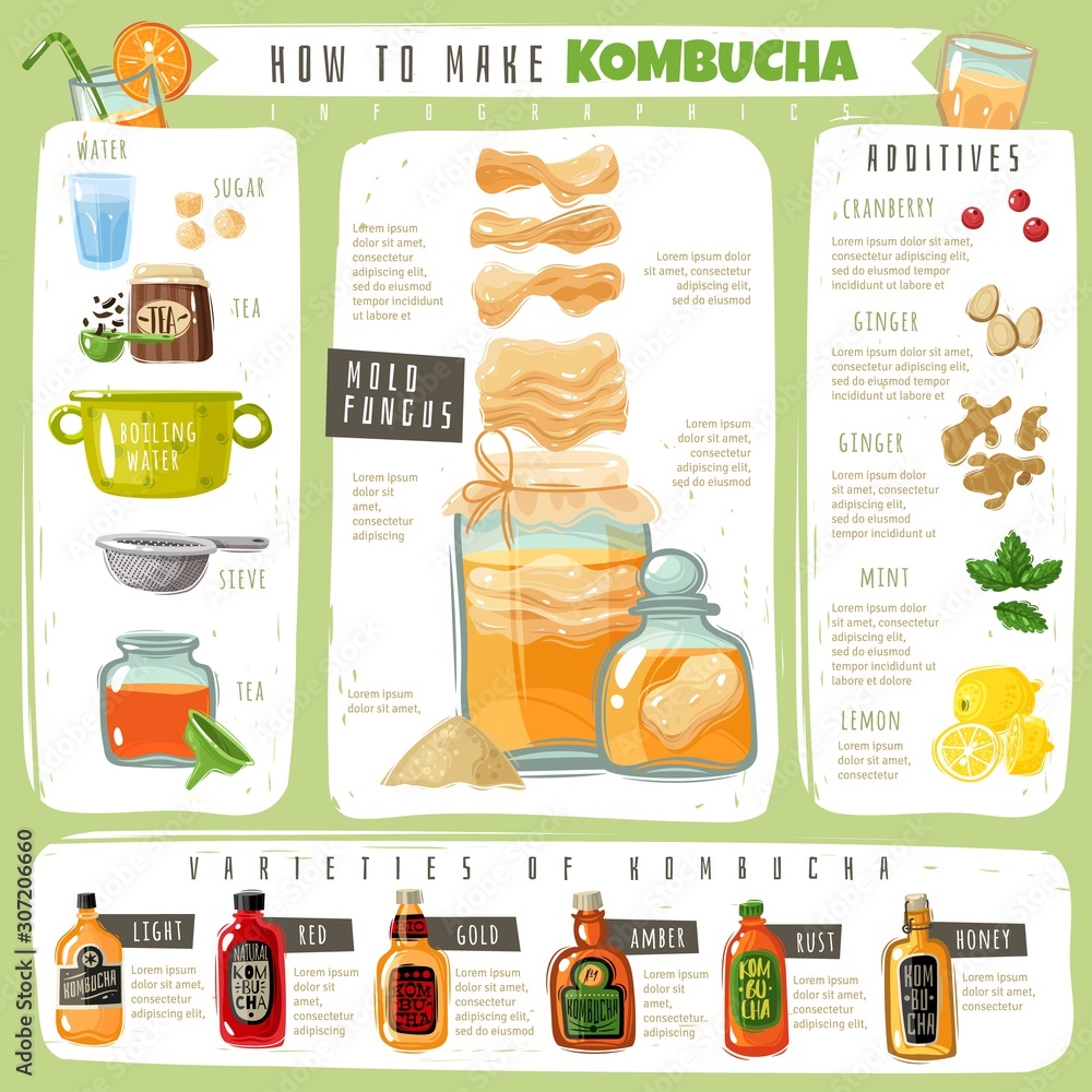 Kombucha tea infographics