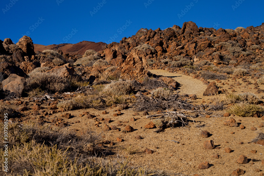 Fototapeta premium Teide National Park on Tenerife, Canary Islands, Spain.
