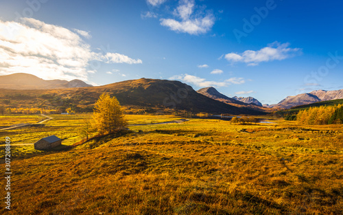 Fototapeta Naklejka Na Ścianę i Meble -  Beautiful autumn colours in mountain valley in the Scottish Highlands