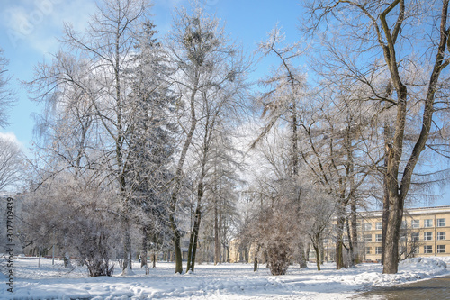 winter in the park © alex_v_t