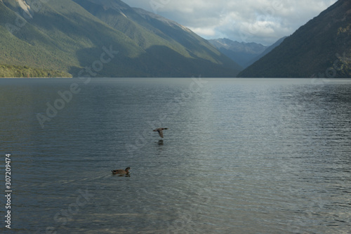 Lake Rotoiti in Nelson, New Zealand