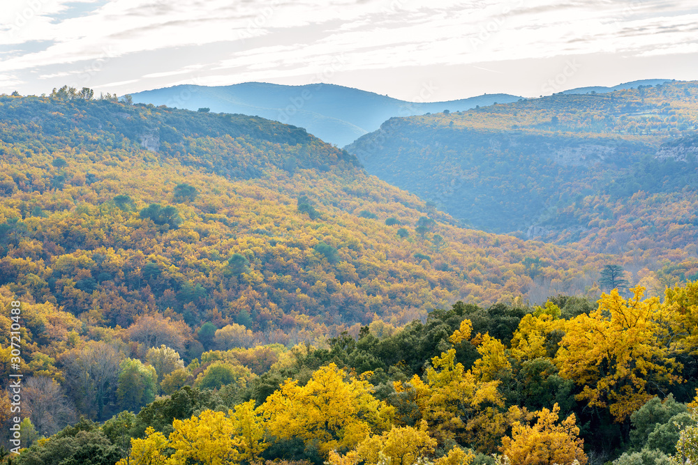 Vue panoramique sur le foret automnal dans le parc national de Luberon, Provence, France.
