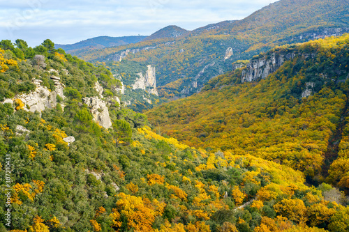 Obraz na płótnie Vue panoramique sur le foret automnal dans le parc national de Luberon, Provence, France. w salonie