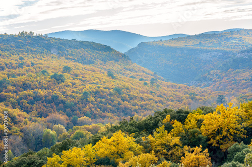 Obraz na płótnie Vue panoramique sur le foret automnal dans le parc national de Luberon, Provence, France. w salonie