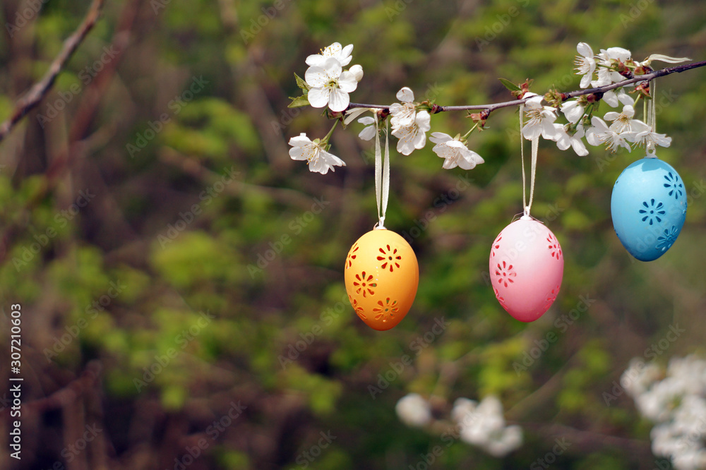 Three decorative Easter eggs hanging on blooming branch