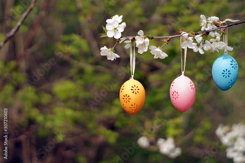 Obraz na płótnie Three decorative Easter eggs hanging on blooming branch w salonie