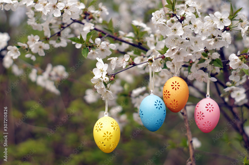 Four decorative Easter eggs hanging on blooming branch.