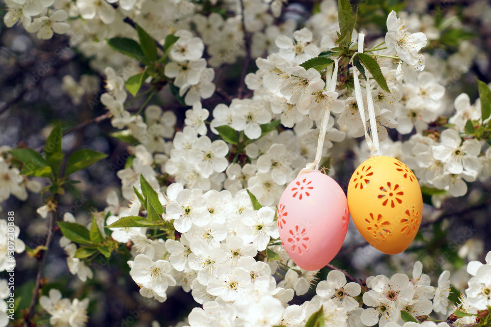 Two decorative Easter eggs hanging on blooming branch.
