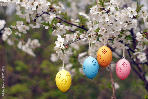 Obraz na płótnie Four decorative Easter eggs hanging on blooming branch. w salonie