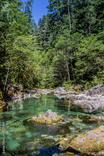 river in the forest