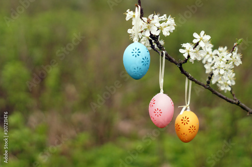 Three decorative Easter eggs hanging on blooming branch.