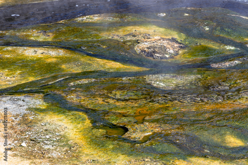 Rotorua Waimangu Volcanic Valley auf der Nordinsel von Neuseeland