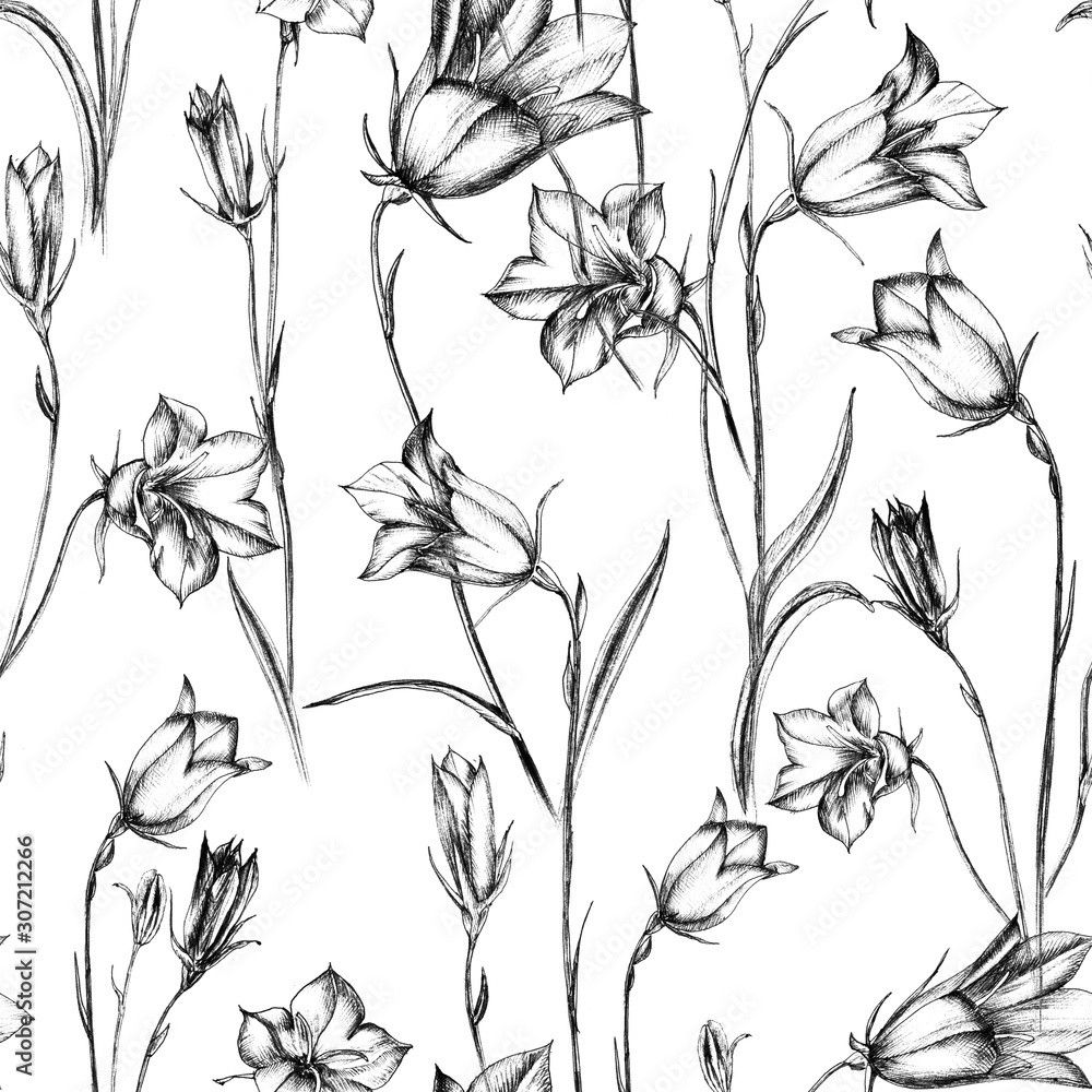 hand drawing made by black liner on white paper. Wild flowers bells, buds, leaves and buds. Summer design of textiles, fabrics, packaging, wallpaper, covers. hand drawing made by black liner on white paper. Wild flowers bells, buds, leaves and buds. Summer design of textiles, fabrics, packaging, wallpaper, covers.