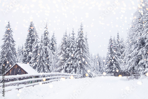 winter wonderland snowy fir trees landscape © 2207918