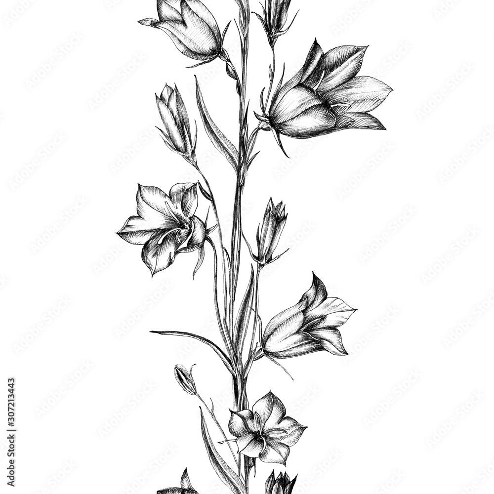 hand drawing made by black liner on white paper. Wild flowers bells, buds, leaves and buds. Summer design of textiles, fabrics, packaging, wallpaper, covers. hand drawing made by black liner on white paper. Wild flowers bells, buds, leaves and buds. Summer design of textiles, fabrics, packaging, wallpaper, covers.