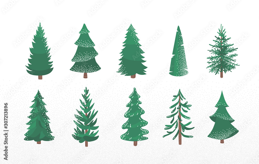 Set of fir tree with snow texture. Pine and spruce xmas vector illustration isolated on white background. Simple flat cartoon green plant elements for christmas decorating
