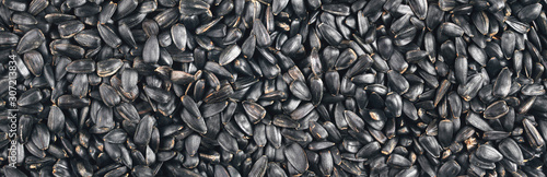 Fried black sunflower seeds. Background. Texture. Panorama.