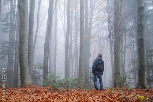 Man in the mysterious dark beech forest in fog
