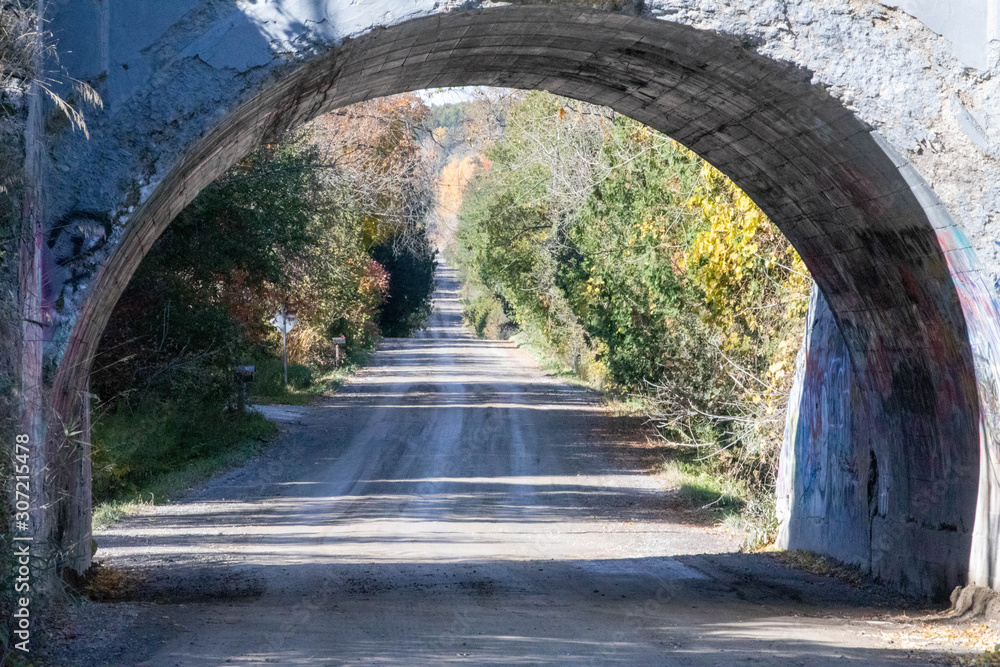 Obraz premium tunel w parku