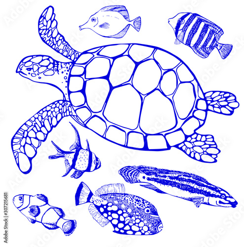 Set of tropical fish and sea turtle on white background. Perfect for invitations, greeting cards, postcard, fashion print, banners, poster for textiles, fashion design. Vector