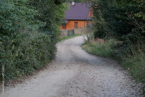 old house in the forest