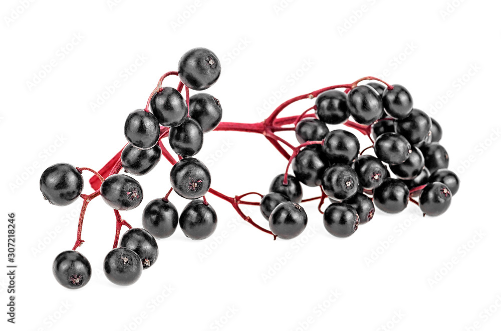 Branch of black elderberry on a white background, healthy food. Selective focus. Branch of black elderberry on a white background, healthy food. Selective focus.