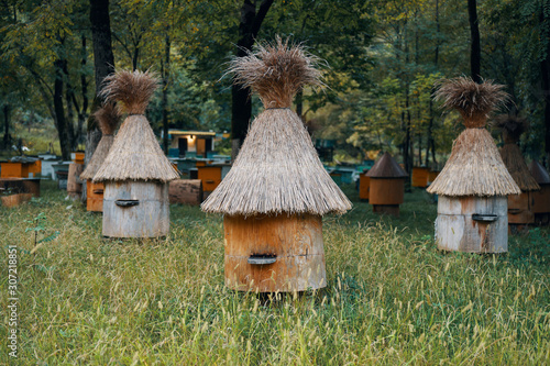 birdhouse on a tree photo