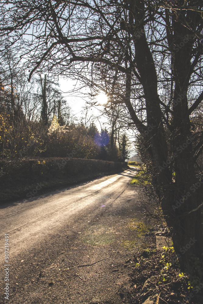 Fototapeta premium Road