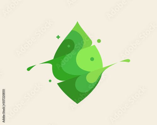 Leaf vector colorful modern minimal style illustration. Green eco icon logo splash concept explosion with drops. Nature park tree vector logo emblem symbol logotype