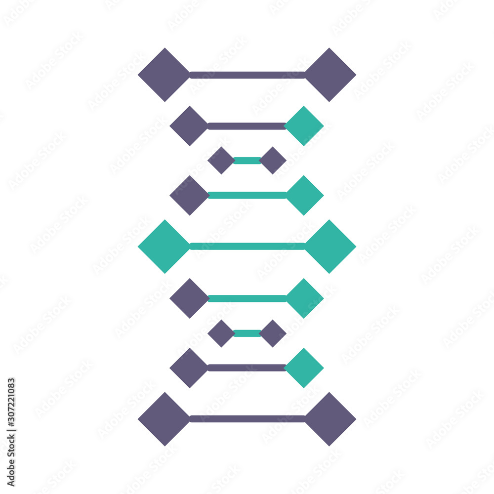DNA chains violet and turquoise color icon. Deoxyribonucleic, nucleic acid helix. Spiraling strands. Chromosome. Molecular biology. Genetic code. Genome. Genetics. Isolated vector illustration DNA chains violet and turquoise color icon. Deoxyribonucleic, nucleic acid helix. Spiraling strands. Chromosome. Molecular biology. Genetic code. Genome. Genetics. Isolated vector illustration