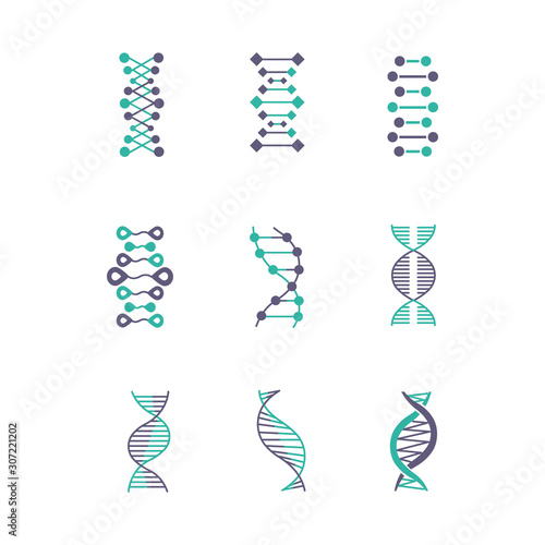DNA double helix violet and turquoise color icons set. Deoxyribonucleic, nucleic acid structure. Chromosome. Molecular biology. Genetic code. Genome. Genetics. Medicine. Isolated vector illustrations