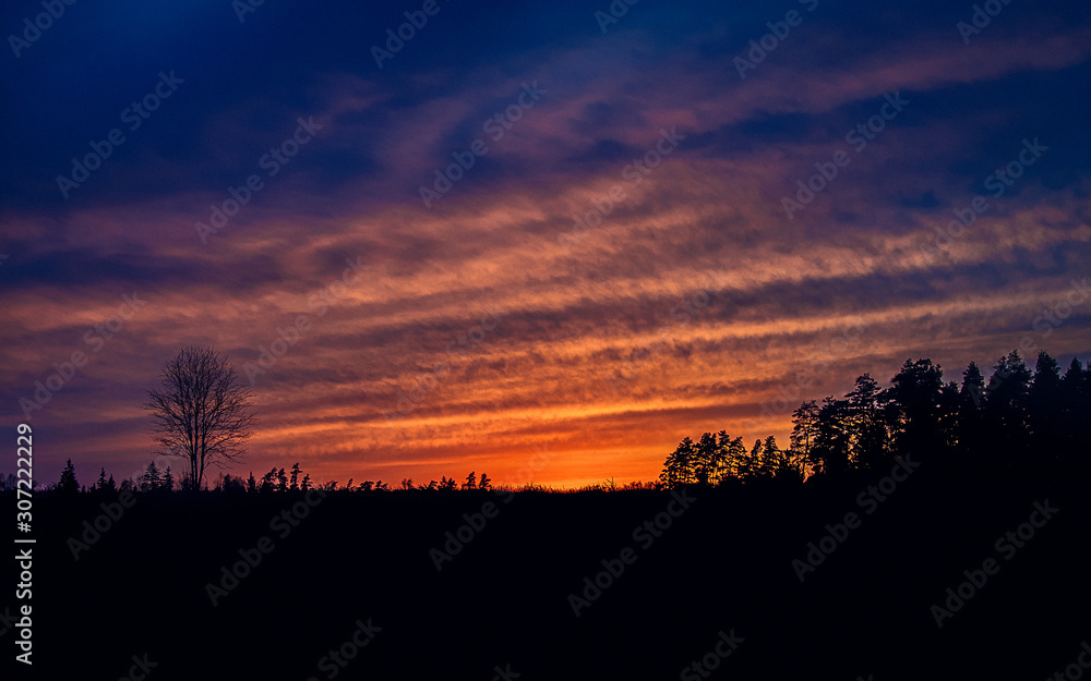 Fototapeta premium sunset in park