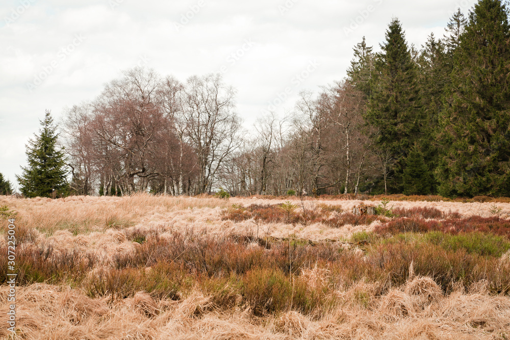 Obraz premium The High Fens