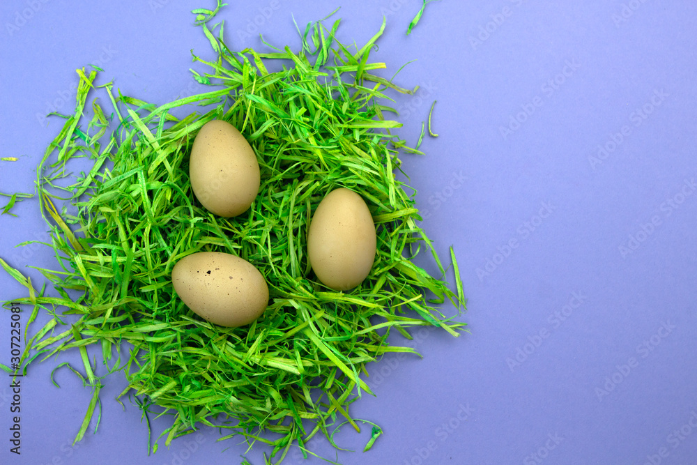 Easter composition with green nest and farm eggs on violet background. Happy Easter. Easter composition with green nest and farm eggs on violet background. Happy Easter.