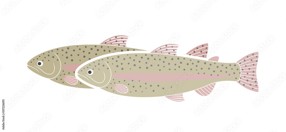 Rainbow trout logo. Isolated trout on white background