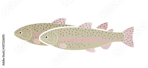 Rainbow trout logo. Isolated trout on white background
