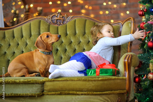 Obraz na płótnie cute little girl sitting on a sofa next to a decorated Christmas tree, a dog sits nearby w salonie
