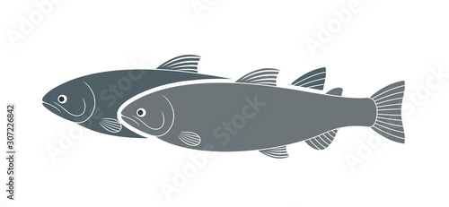 Rainbow trout logo. Isolated trout on white background