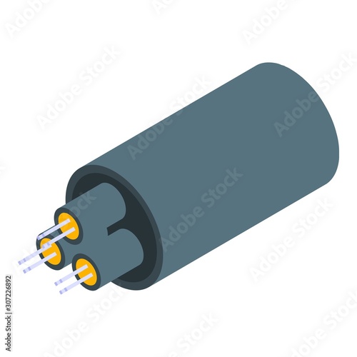 Optical fiber icon. Isometric of optical fiber vector icon for web design isolated on white background