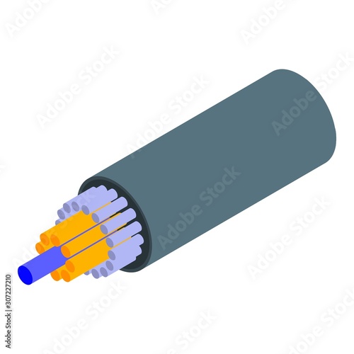 High speed optical cable icon. Isometric of high speed optical cable vector icon for web design isolated on white background