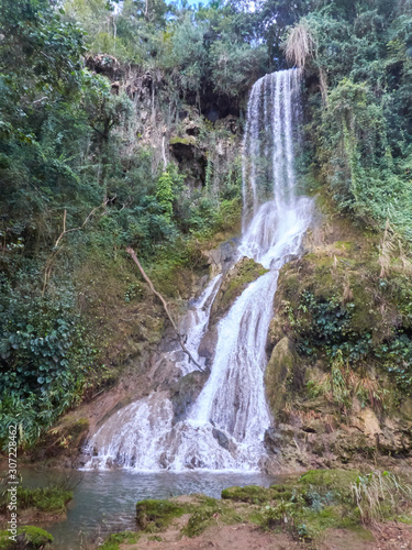 waterfall in the forest