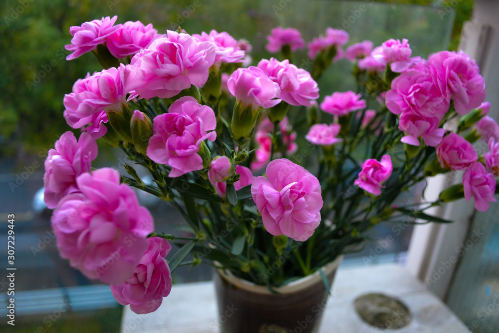Pink bush carnation, beautiful bright bouquet Pink bush carnation, beautiful bright bouquet