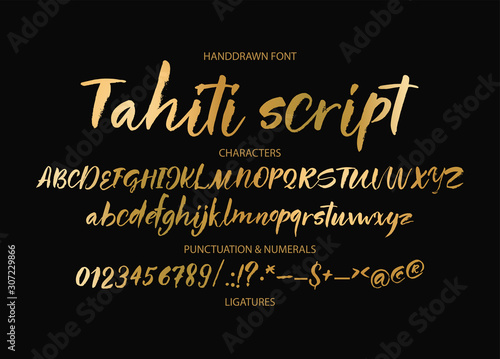 Textured calligraphy hand drawn vector alphabet. Rough grunge font. Latin golden script typeset with letters and numbers.