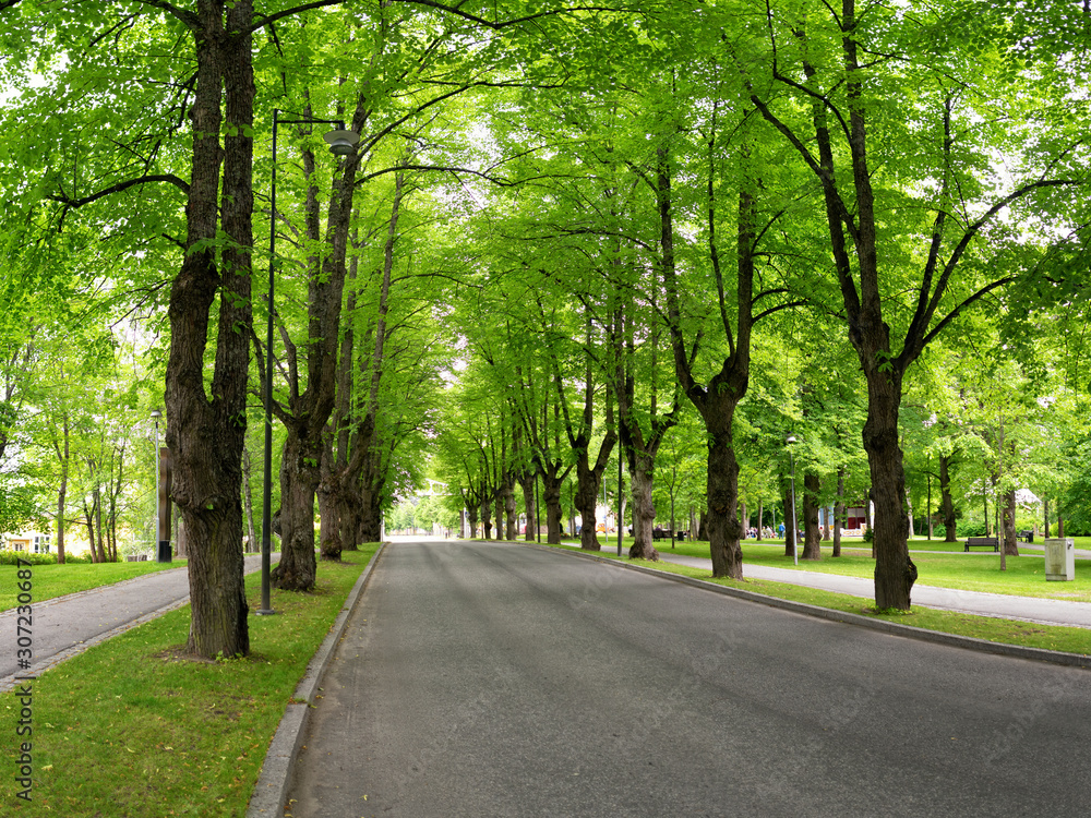 Urban road with green trees. Tree lined street in the summer time. This image was taken at Ikaalinen, Finland in July 2017.