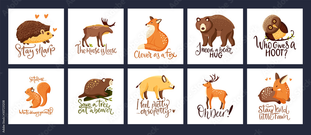Hand drawn forest animal vector set in a flat style. Woodland cartoon card  funny collection with