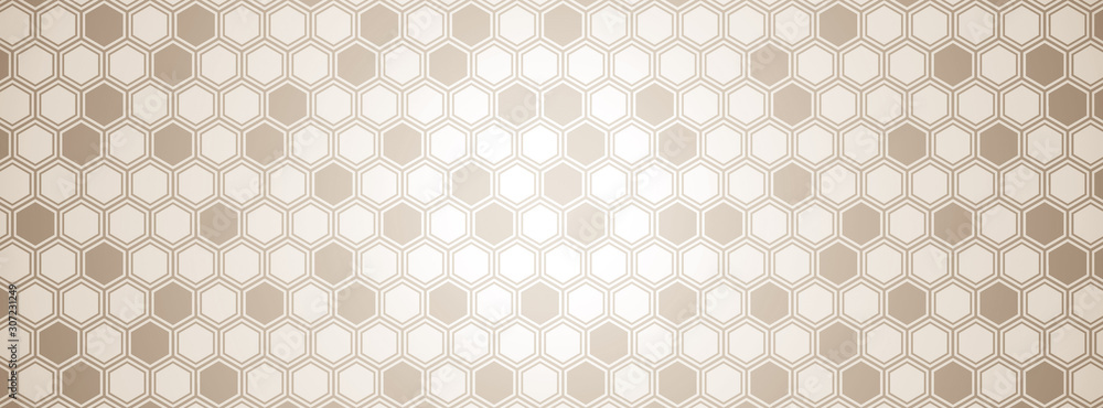 Abstract hexagonal illustration. Hexagon background.