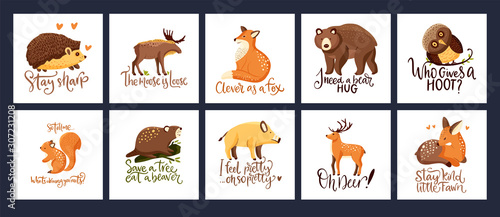 Hand drawn forest animal vector set in a flat style. Woodland cartoon card funny collection with funny lettering joke quotes with moose, fox and squirrel. Bear, wild boar, fawn deer, owl and beaver fa