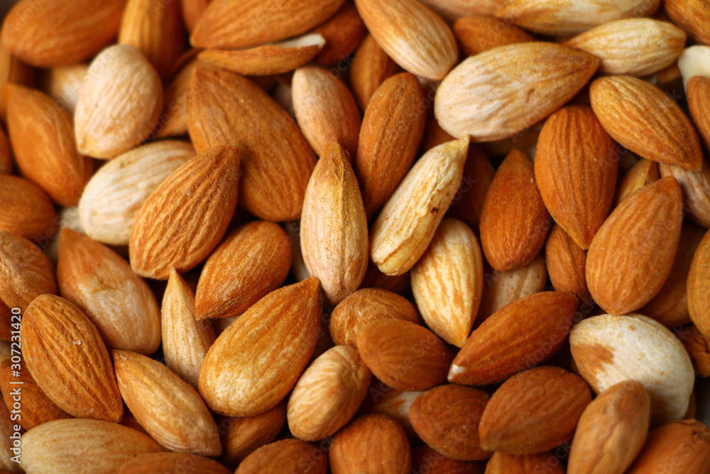 Fototapeta premium Fresh apricot seeds